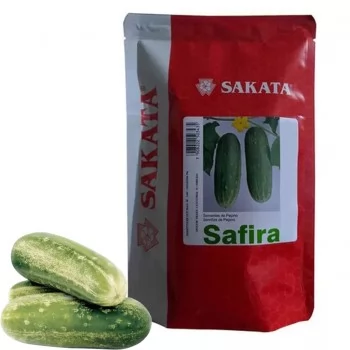 xx_pepino-safira-39f971e63d2c5bc77649e9ab697ece7d.webp