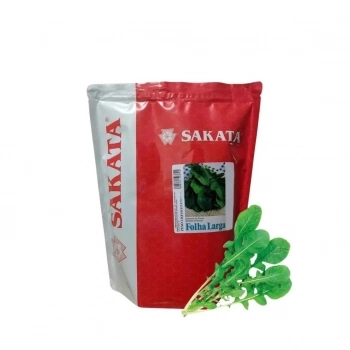 SEMENTE RUCULA FOLHA LARGA 500GR - SAKATA