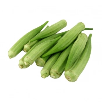 SEMENTE QUIABO SANTA CRUZ 47 PCT 1KG SAKATA