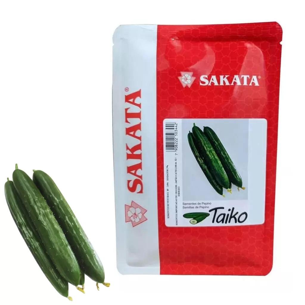 SEMENTE PEPINO H. TAIKO 1000 SEMENTES - SAKATA