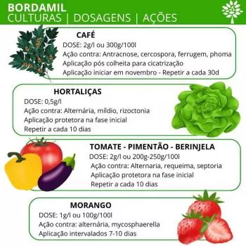 BORDAMIL 1KG [CALDA BORDALESA] AGRODAMA