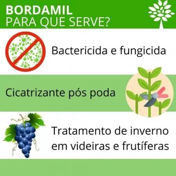 BORDAMIL 1KG [CALDA BORDALESA] AGRODAMA