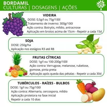 BORDAMIL 1KG [CALDA BORDALESA] AGRODAMA