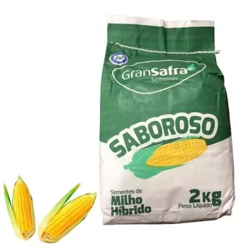 xx_semente-milho-saboroso-c8121786e16d589eb3a42280e9ceacab.webp