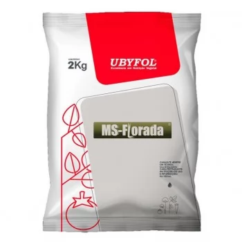 xx_ms-florada-d84b269d93a95e0b9f8bcd18fd3a4502.webp