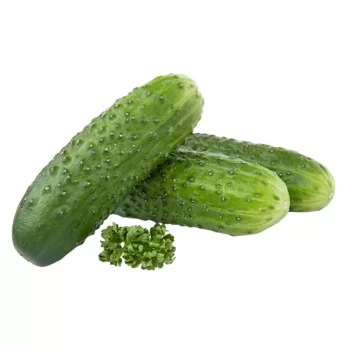 SEMENTE PEPINO HIB. PREMIO 100GR - SAKATA