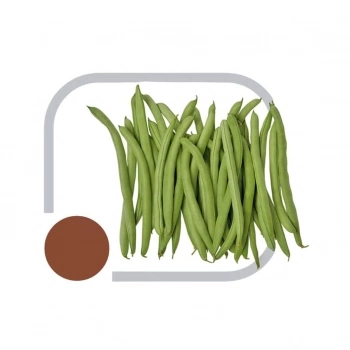 SEMENTE FEIJAO VAGEM GRAZI HS 1KG - HORTICERES
