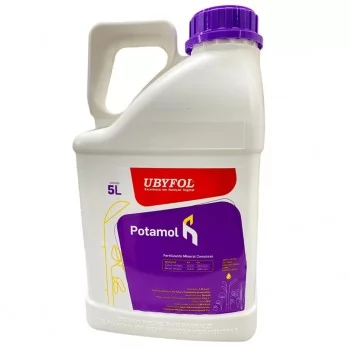 xx_potamol-c7ae2492c245b7d5af8315b9a44b6557.webp