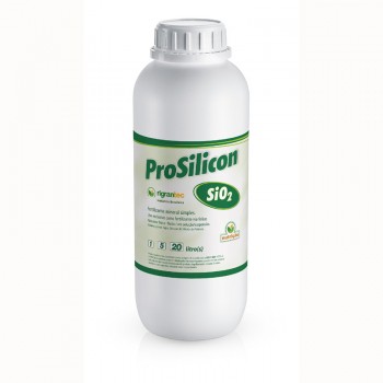 xx_prosiliconbx-site-15894998373079-fb989e1958dc70135375f6d7c07f3cd9.jpg
