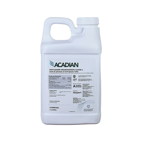 csmacadian5l0ed1563d1b-a31406623598cc171d21618a21df1a47.webp