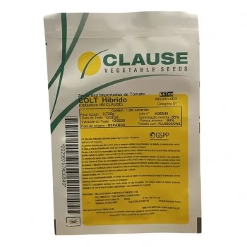 SEMENTE TOMATE HIB. COLT CLAUSE - 1000 SEMENTES
