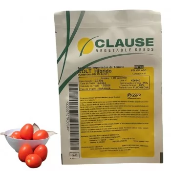 xx_semente-tomate-colt-b486ae252e75dd068a0e45244c2210af.webp