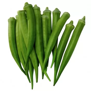 SEMENTE QUIABO SANTA CRUZ 500GR - FELTRIN