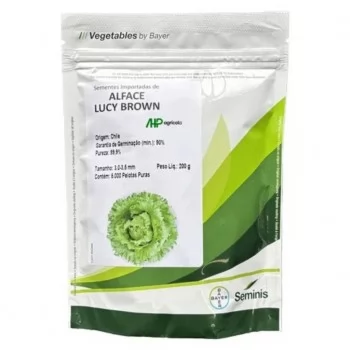 SEMENTE ALFACE LUCY BROW PELET - 5000 SEMENTES