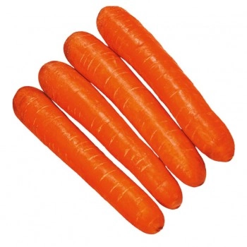SEMENTE CENOURA BRASILIA HORTICERES - 250GR