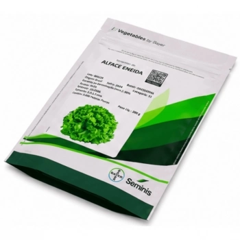SEMENTE ALFACE ENEIDA SEMINIS 200GR - SEMINIS