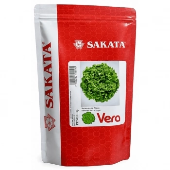 SEMENTE ALFACE VERA 7500 SEMENTES - SAKATA