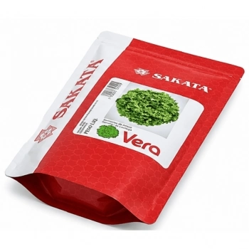 SEMENTE ALFACE VERA 7500 SEMENTES - SAKATA