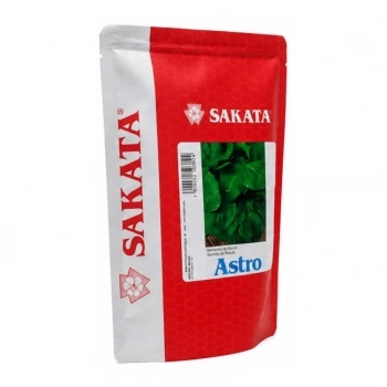 SEMENTE HIB. RUCULA ASTRO 500GR - SAKATA