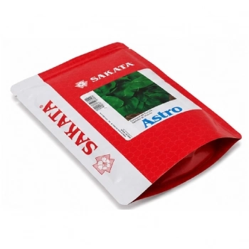 SEMENTE HIB. RUCULA ASTRO 500GR - SAKATA