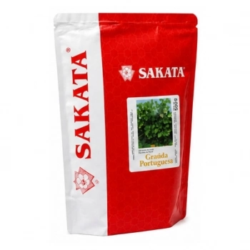 SEMENTE DE SALSA GRAUDA PORTUGUESA 500GR - SAKATA