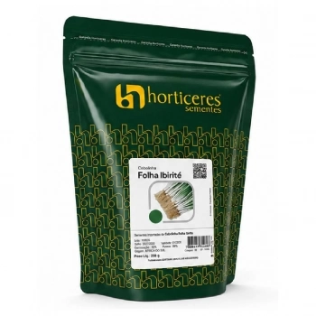 SEMENTE CEBOLINHA IBIRITE 250GR - HORTICERES