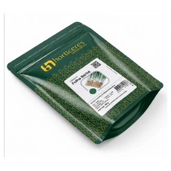 SEMENTE CEBOLINHA IBIRITE 250GR - HORTICERES