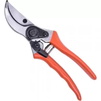 xx_tesoura-de-poda-profissional-78304511-tramontina-ef4bb332ad6271ec0391671238756970.webp